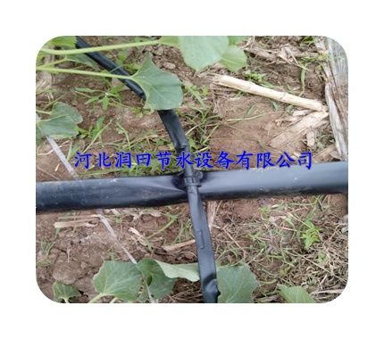 促销全新滴灌带 樟树镇滴灌厂家