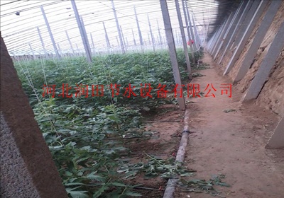 峡江县微灌管供应厂家|多种类滴灌设备