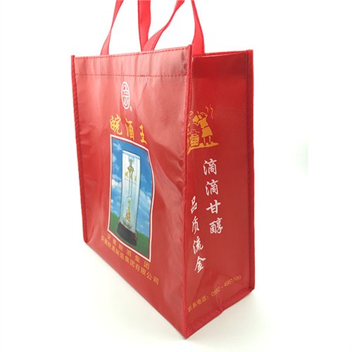 杭州无纺布袋报价温州无纺布袋价格无纺布袋加工厂孙叶纸塑厂供