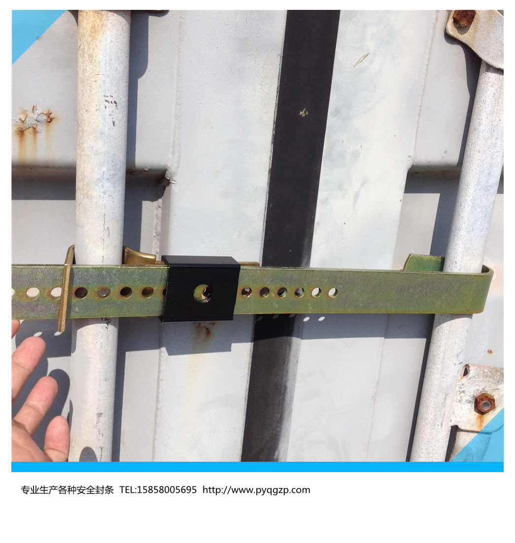 温州集装箱封条锁 温州集装箱封条锁厂家 温州朴一轻工供