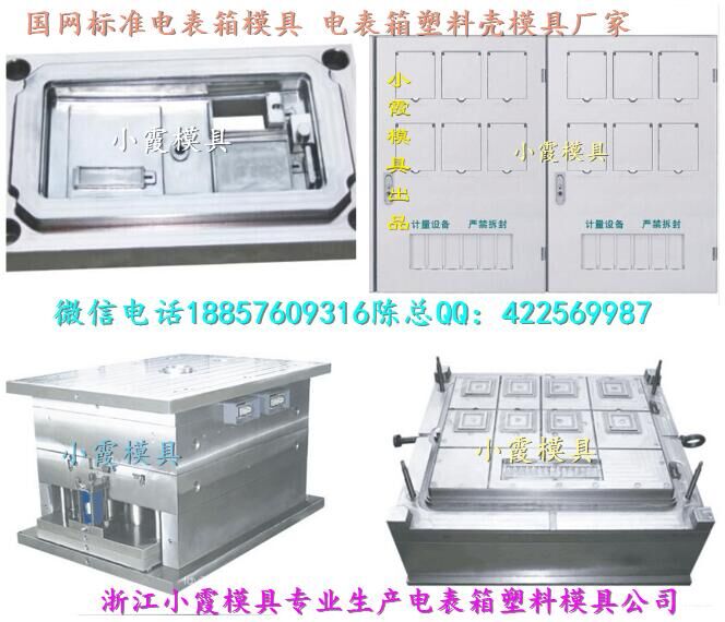 黄岩模具供应 国网标准单相二电表箱注塑模具供应商地址