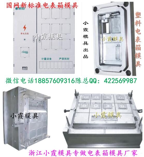 黄岩模具公司 国网标准三相十二电表箱注塑模具厂家地址