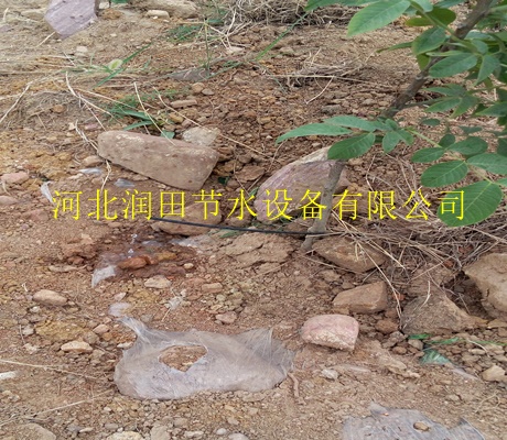 吉安永丰县柑橘树果树滴灌PE管 滴灌厂家