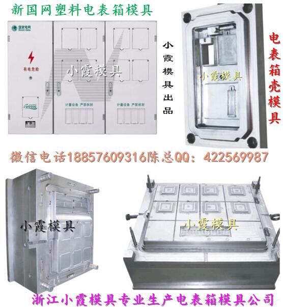 台州模具国网标准单相6电表箱注塑模具厂家地址