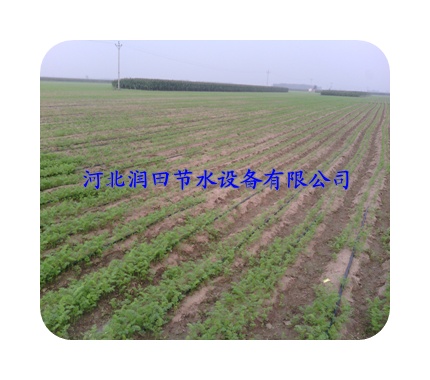 南召县实惠耐用微灌带厂家价格