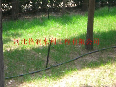 雅安市鲁山县吊悬微喷头图片/质量|灌溉喷头