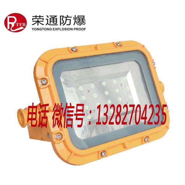 荣通DGS48/127L 矿用隔爆型LED巷道灯 48W 127V方形矿用巷道灯