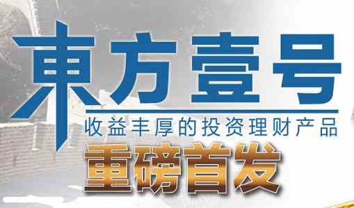 东方成安资产证券化高人气热卖，东方金账户包你满意!