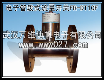 消防新规范用流量开关 电子管段式流量开关FR-DT10