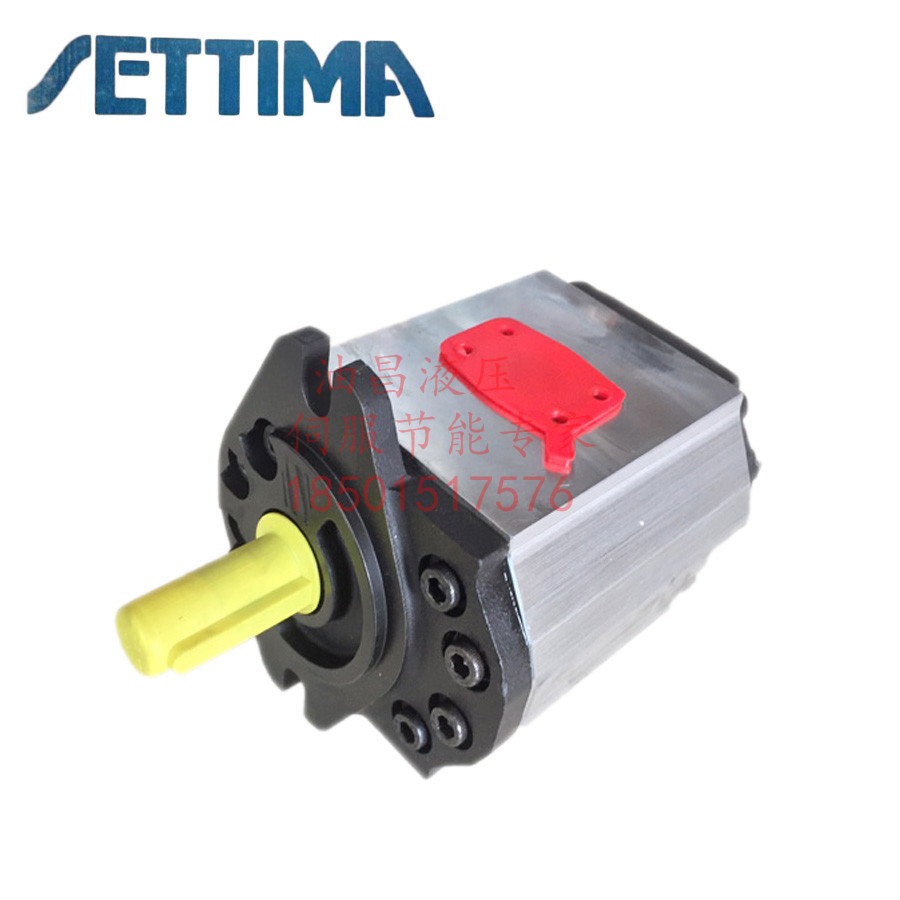 意大利赛特玛SETTIMA螺杆泵G55V090FSAEBT1300LV 75 63 50花键