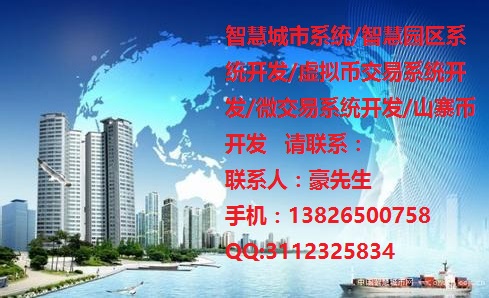 山寨币虚拟币数字货币开发怎么开发