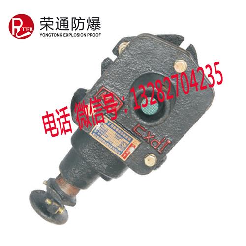 荣通 BZA1-5/36-1矿用隔爆型控制按钮 单联控制按钮
