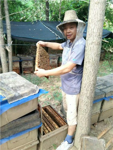 福建农家自产枣花蜜|福建枣花蜜哪家比较 四十二度蜜供