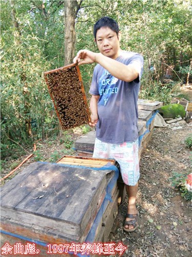 福建 蜂蜜品牌|福建 蜂蜜品牌|四十二度蜜汇农供