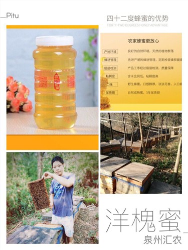 湖北蜂蜜  正宗洋槐蜂蜜 正宗蜂蜜 汇农供