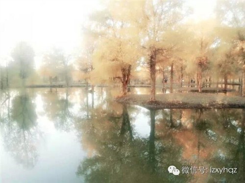 兰州汽车租赁服务|兰州汽车租赁服务中心|兰州新远航官网