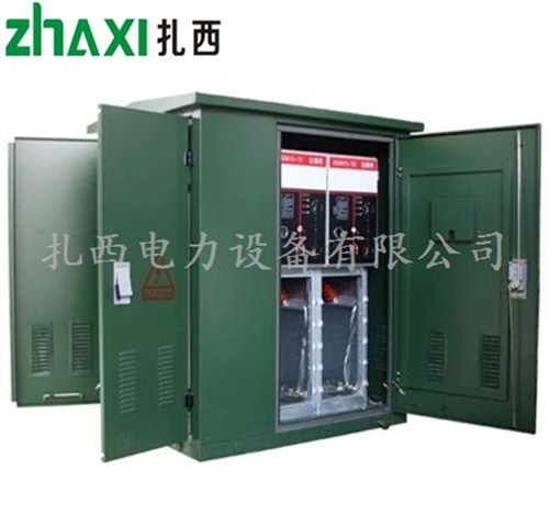 北京室外电缆分支箱DFW二进二出电缆分接箱DFW10-8铁分支箱扎西电力供
