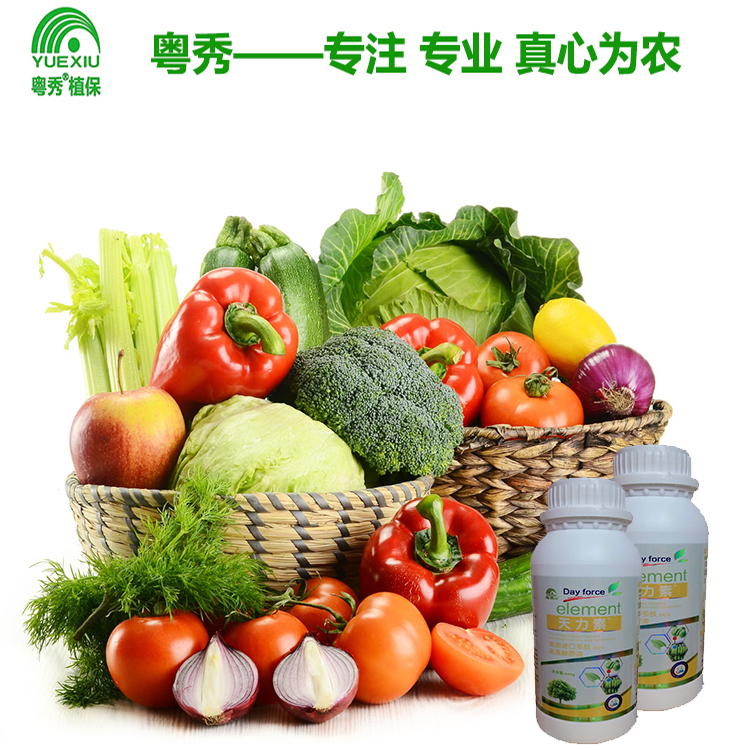 蔬菜叶面肥厂家批发蔬菜叶面肥增厚用什么肥蔬菜专用叶面肥