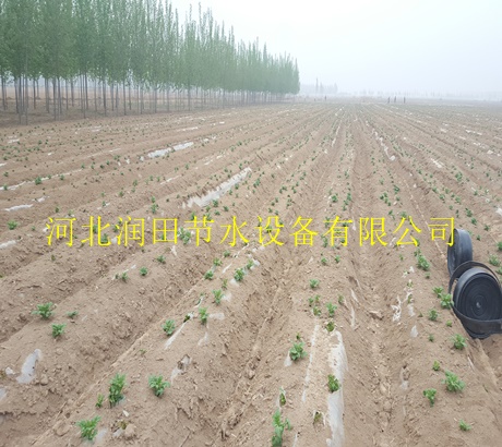 批发普松乡滴灌带 网式过滤器零件