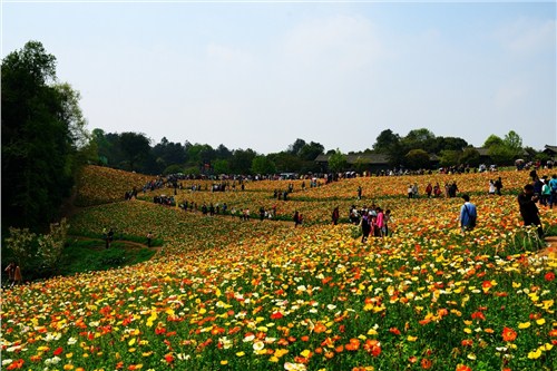 四川素质拓展训练 四川素质拓展训练基地 四川素质拓展训练公司 凝聚供