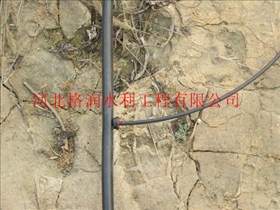 荆州沙市区果园滴水毛管价格|小管出流报价