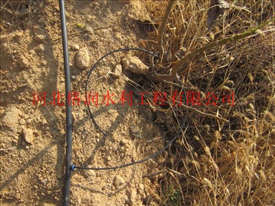 黄石市下陆区果树水肥一体化|供应压力补偿式滴头