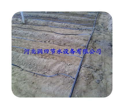 江南镇滴灌带 专注品质