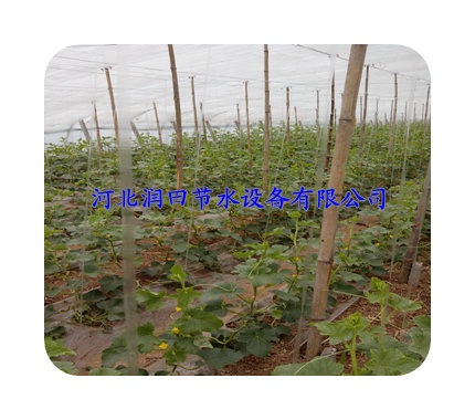 江南镇滴灌带 质量保证