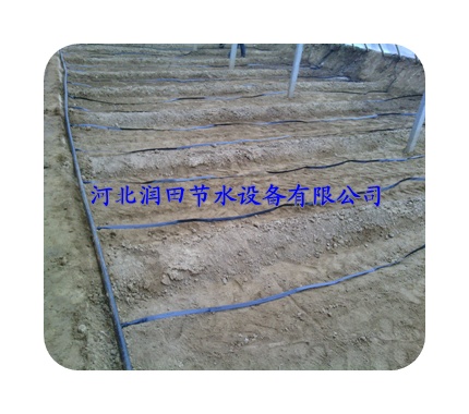 滴灌带 水带 源潭镇滴灌厂家