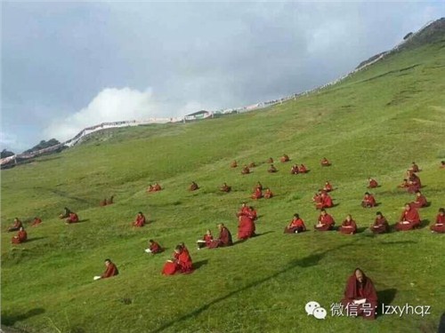 兰州旅游租车电话咨询|兰州旅游租车电话咨询电话|兰州新远航官网