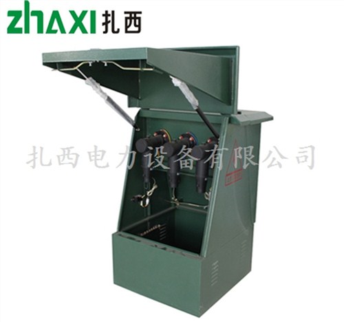 山东DFW电缆分支箱|扎西电力供