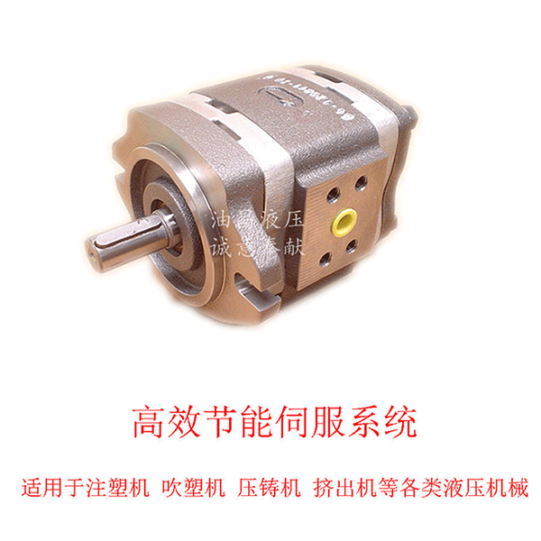 德国福伊特VOITH齿轮泵IPV3-10-101
