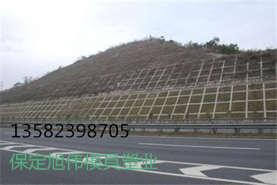 内蒙古植草护坡板模具厂家
