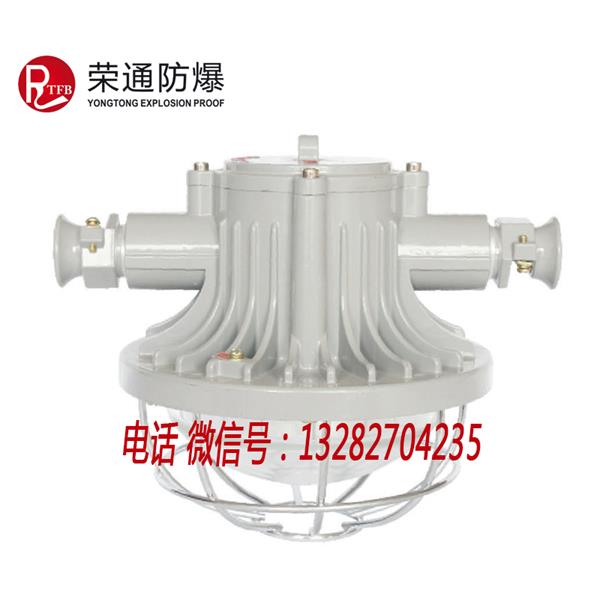 荣通 DGS36/127L圆形矿用隔爆型LED巷道灯 矿用照明灯