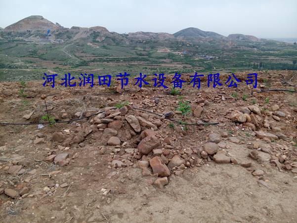 小管出流  三市镇果树滴灌灌溉