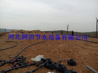 三市镇小管出流-优质稳流器批发
