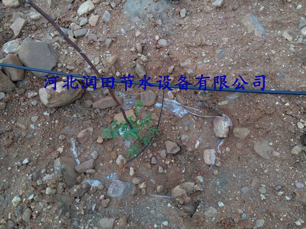 三市镇小管出流 果树滴灌 特价