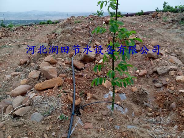 果园滴灌 稳流器 三市镇小管出流