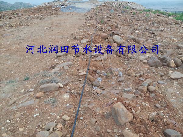 灌溉PE管  三市镇小管出流