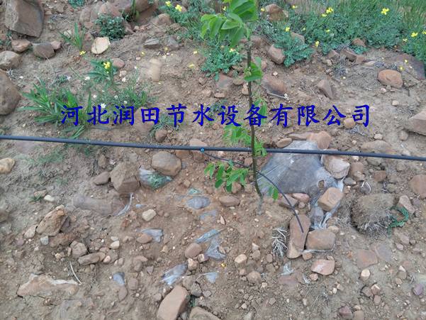 三市镇小管出流厂家 质量 