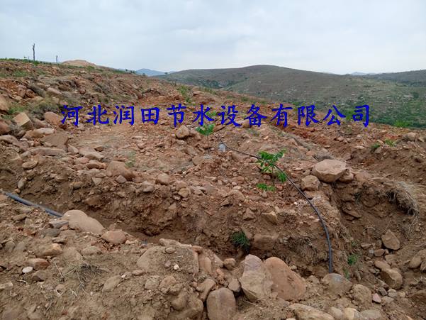 三市镇厂家出售小管出流 果园滴灌