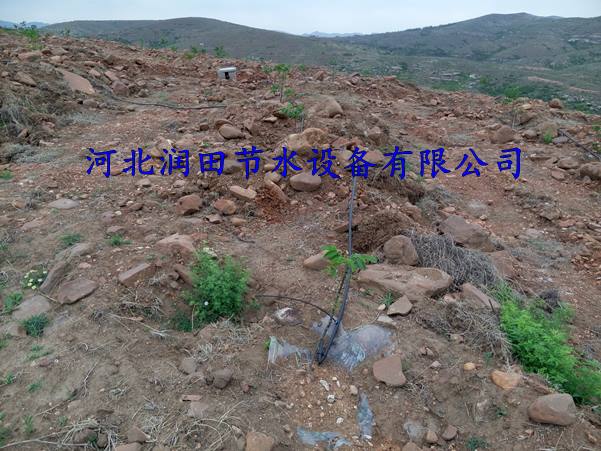 果树滴灌设备|三市镇小管出流系列