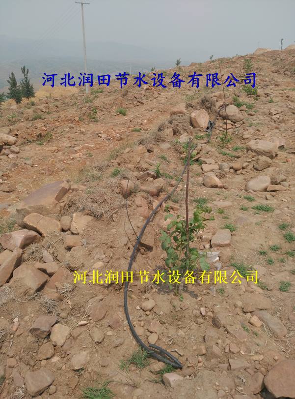 三市镇小管出流 稳流器 质量保证