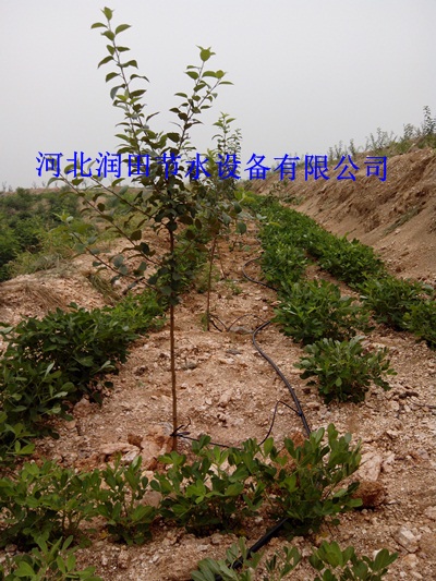 三市镇稳流器  使用寿命长