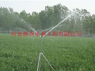 大名高效节水灌溉|大田喷灌