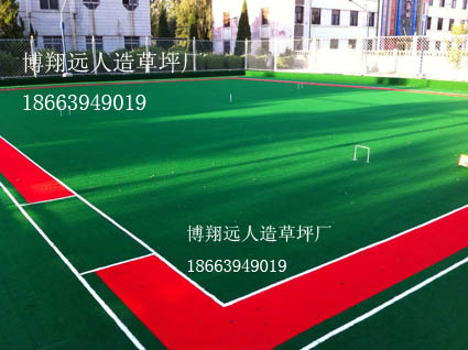 济南、泰安、潍坊、德州、滨州、莱芜、烟台、日照人造草坪门球场