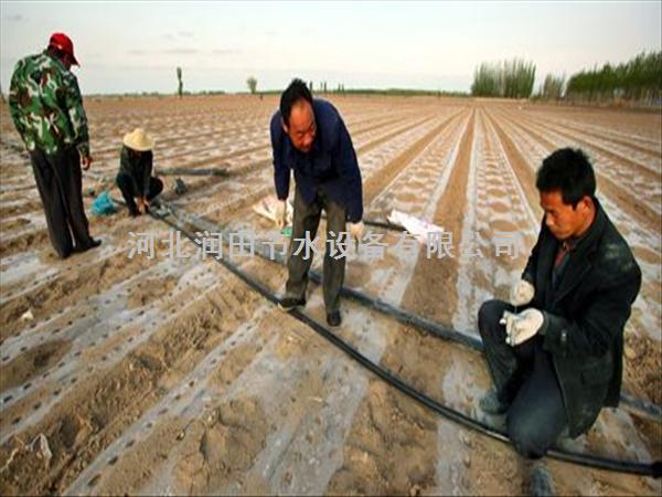 郴州市桂东县西兰花滴灌丨滴水带丨中国河北找润田
