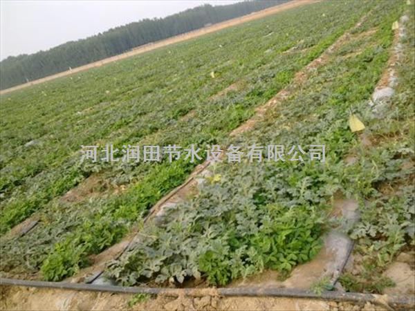 永州市双牌县16mm扁水带_滴灌带供应商_河北润田厂家报价
