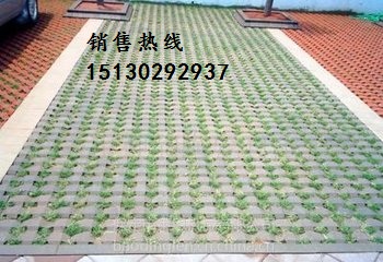 植草砖塑料模具&彩砖模具款式齐全