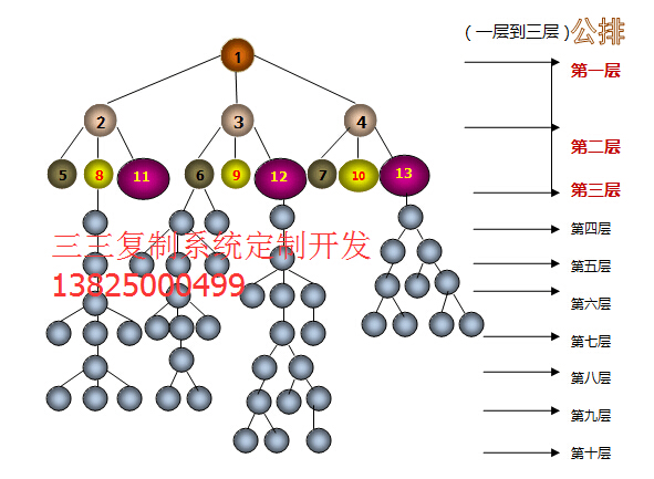 三三复制直销结算系统开发